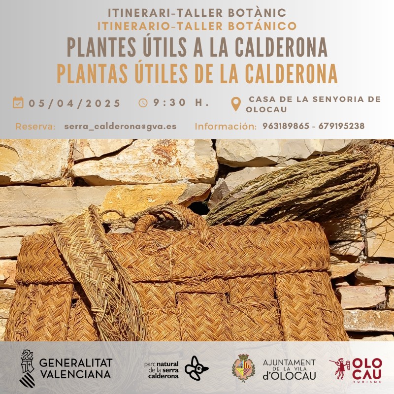 Itinerari-Taller botànic ‘Plantes útils a la Calderona’